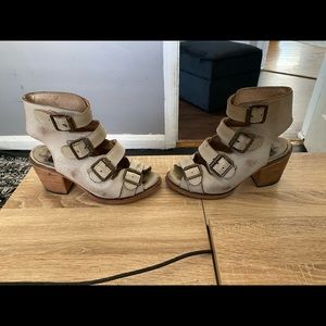 Freebird by Steven Quail